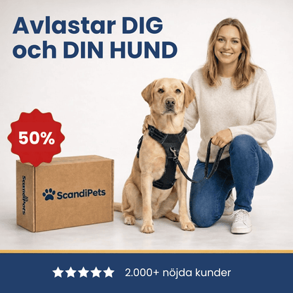 ScandiPets™ Anti-drag sele